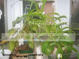 IMG_5945.jpg