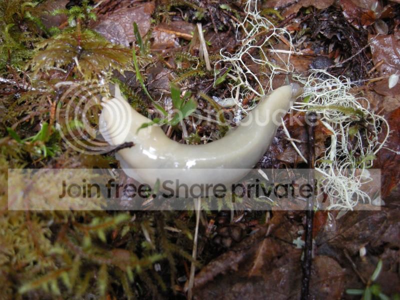 DSCN7238.jpg