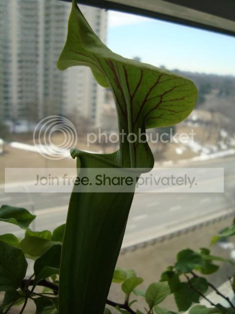 DSC00240.jpg