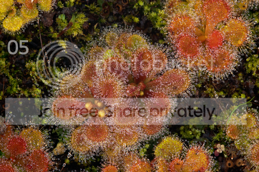 05.png