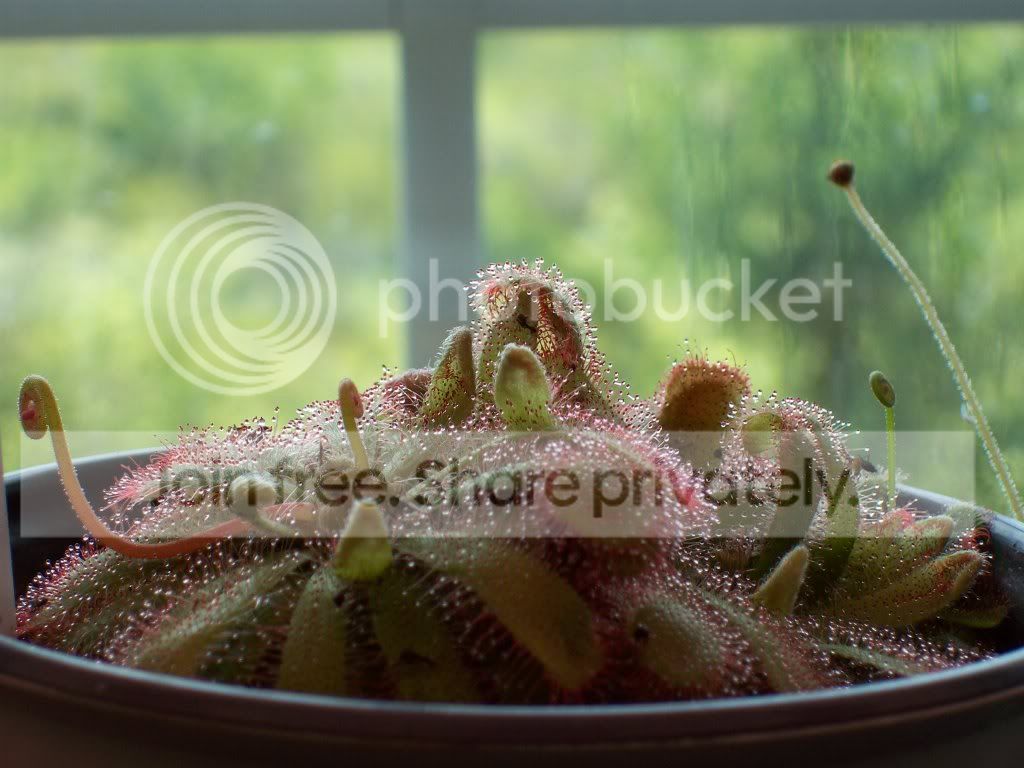 Picture010-6.jpg