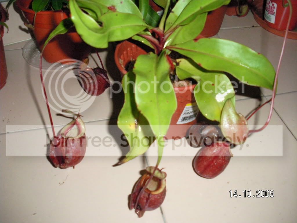 RIMG3084.jpg