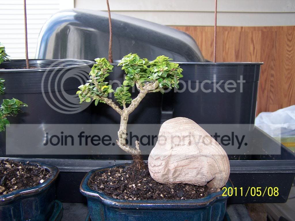 100_4491.jpg