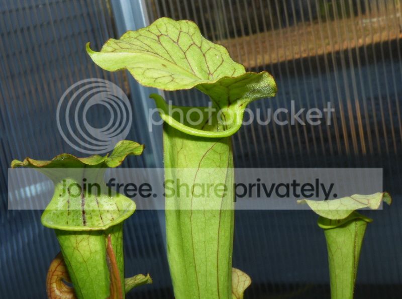 DSCF9639.jpg