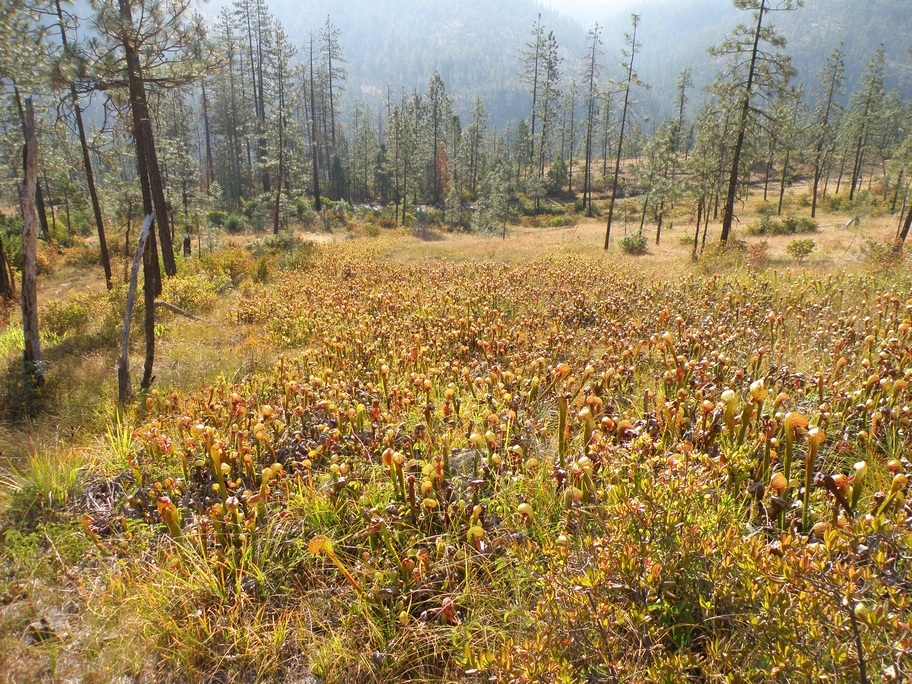 PA190811.jpg