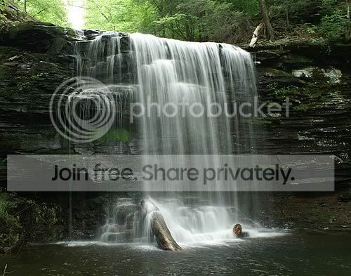 Picture-7234wf.jpg