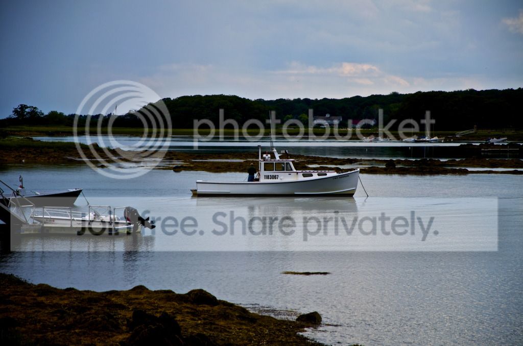 DSC_0579.jpg