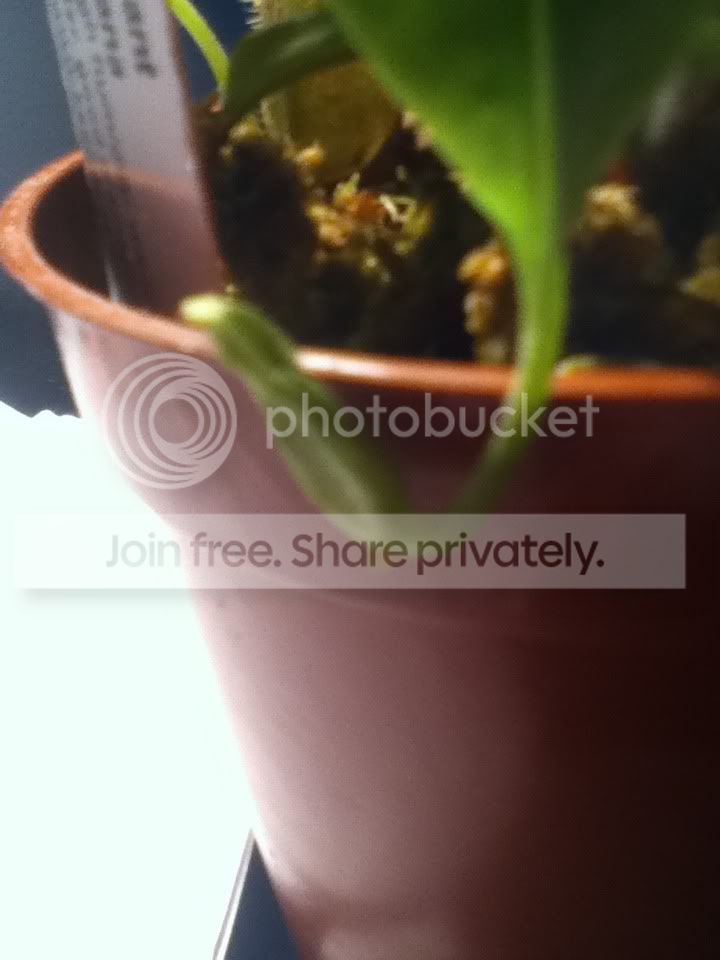 photo-8.jpg