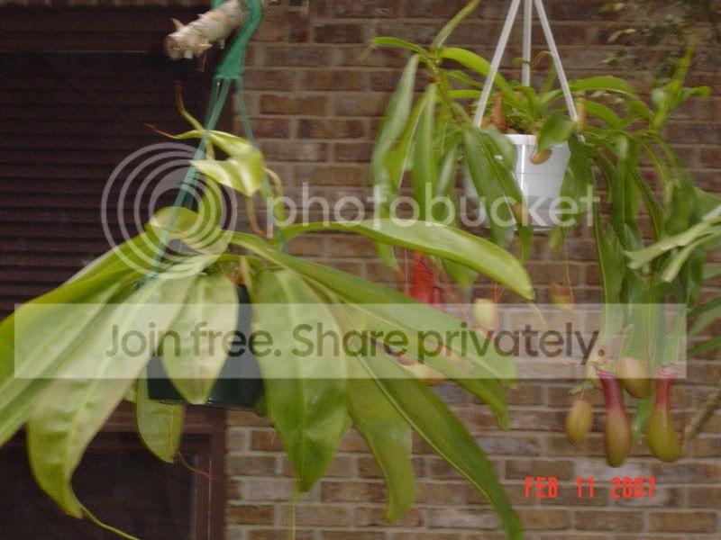 DSC00572.jpg