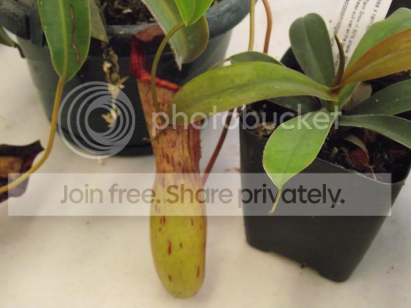 DSCF5822.jpg