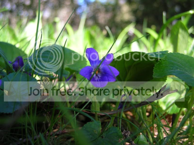 dscn3682.jpg