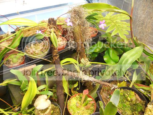 nsidechamber04_3-8-12.jpg