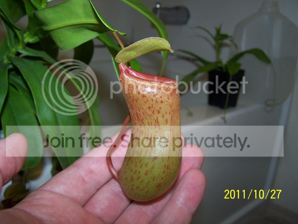 100_5485.jpg