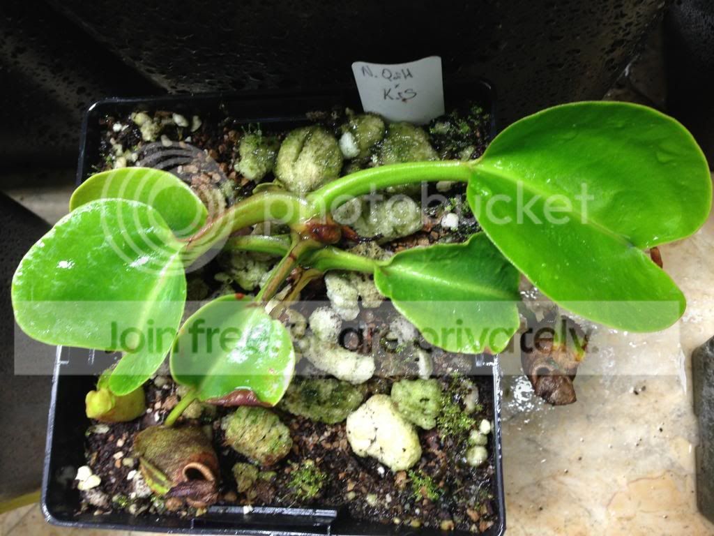 image_zpsc473999c.jpg