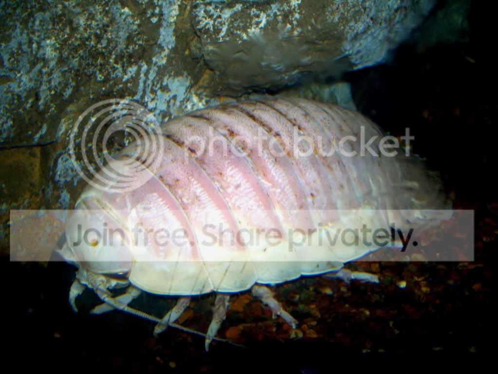 100_6169.jpg