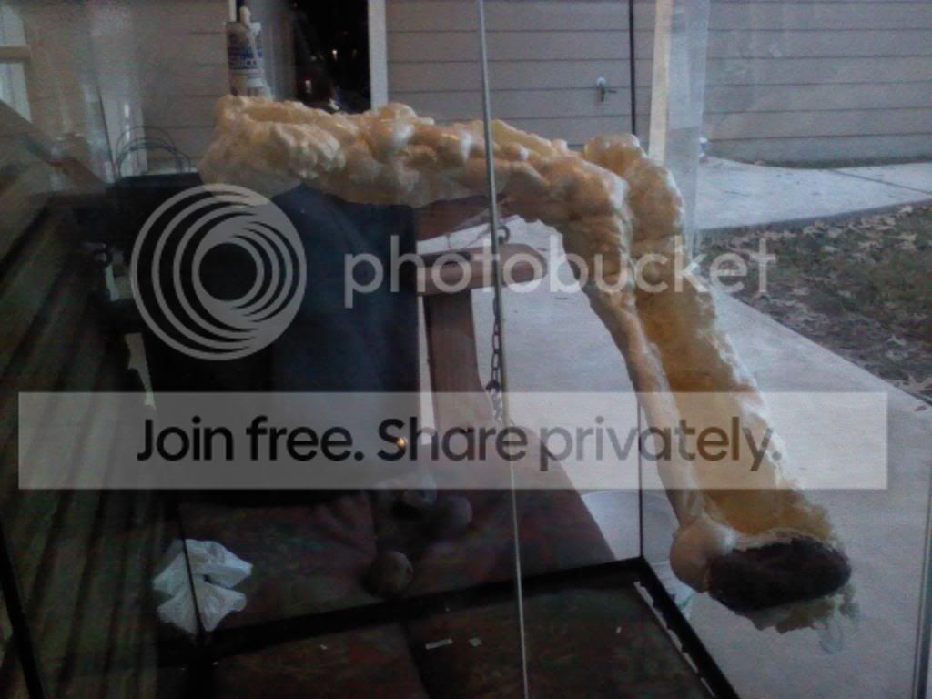foam_part02.jpg