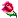 53rose.gif