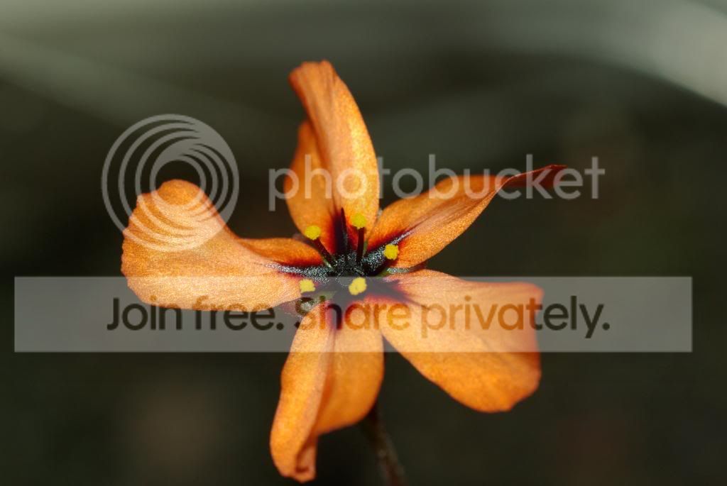 IMGP3712.jpg