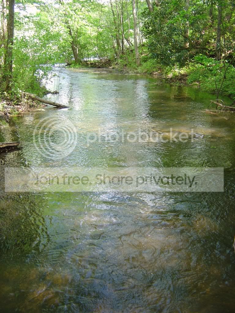 DSC03769.jpg