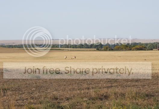 IMG_1750.jpg