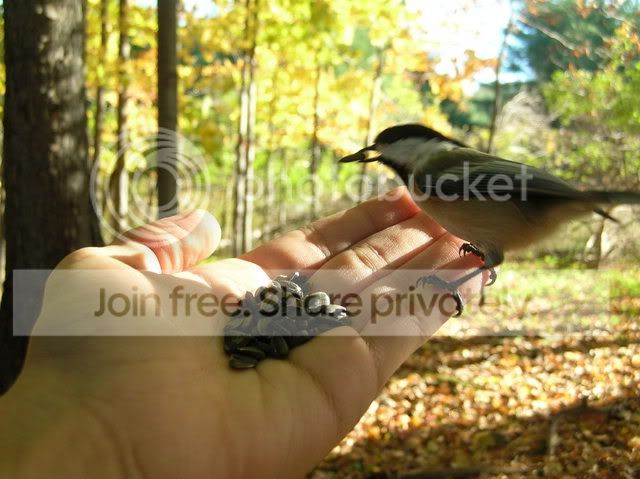 DSCN6085.jpg