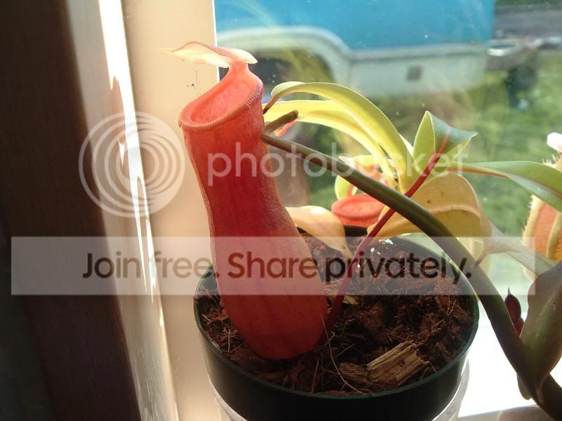 DSCF2584-1.jpg