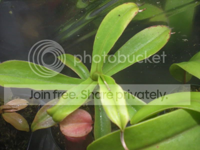 DSCN3080.jpg