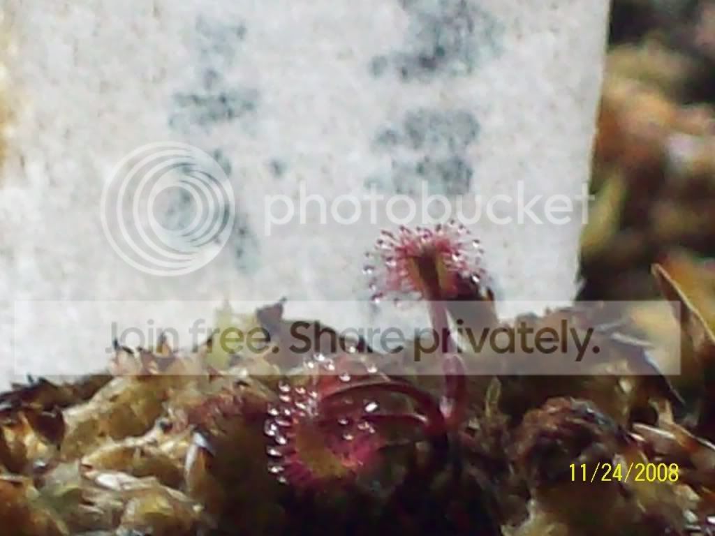 100_0580.jpg