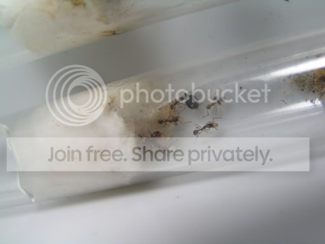 d6b6c8a8.jpg