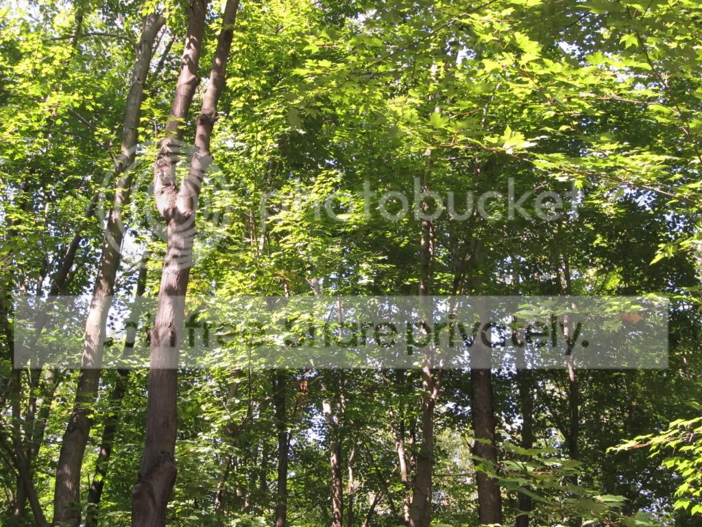 IMG_8916.jpg