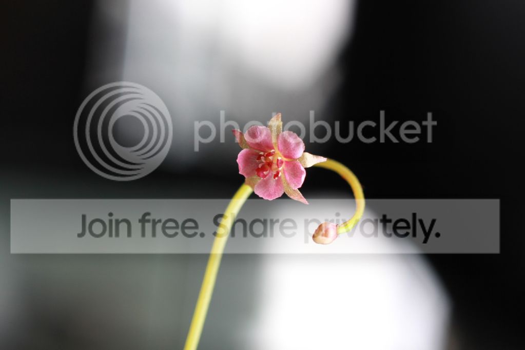 86c12aa8005a6d05cdb718509301434b.jpg