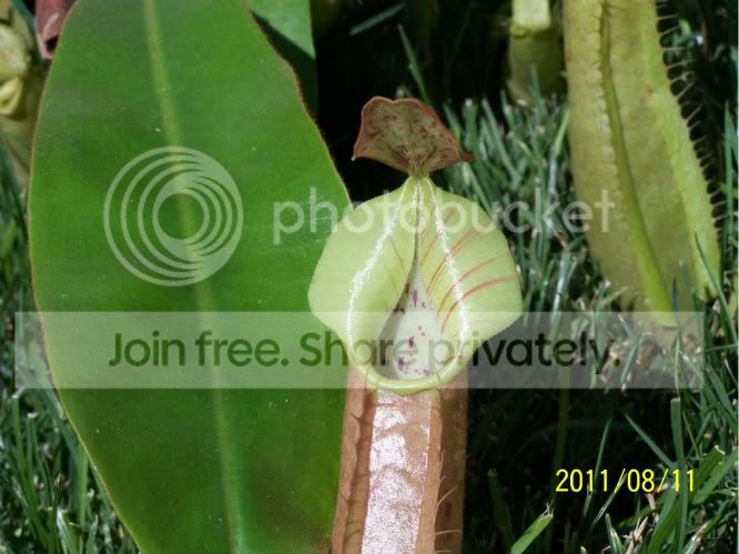 100_5031.jpg