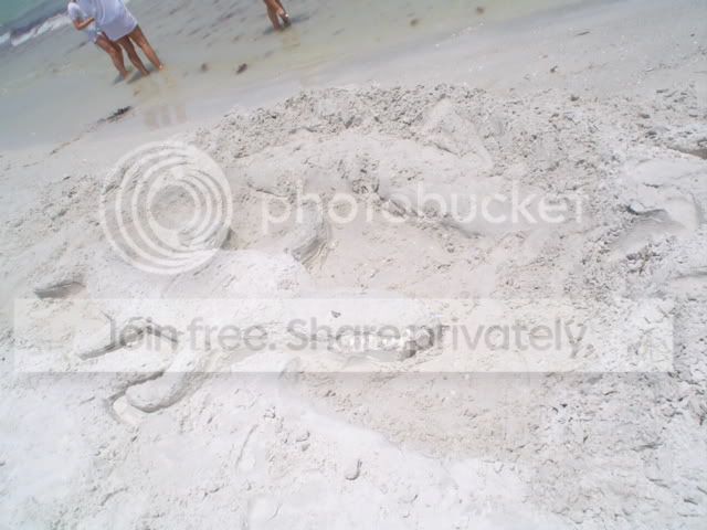 DSC01363.jpg