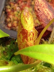 24069082984_9e953828b2_m.jpg