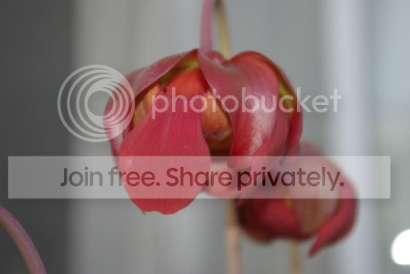 _IGP0105.jpg