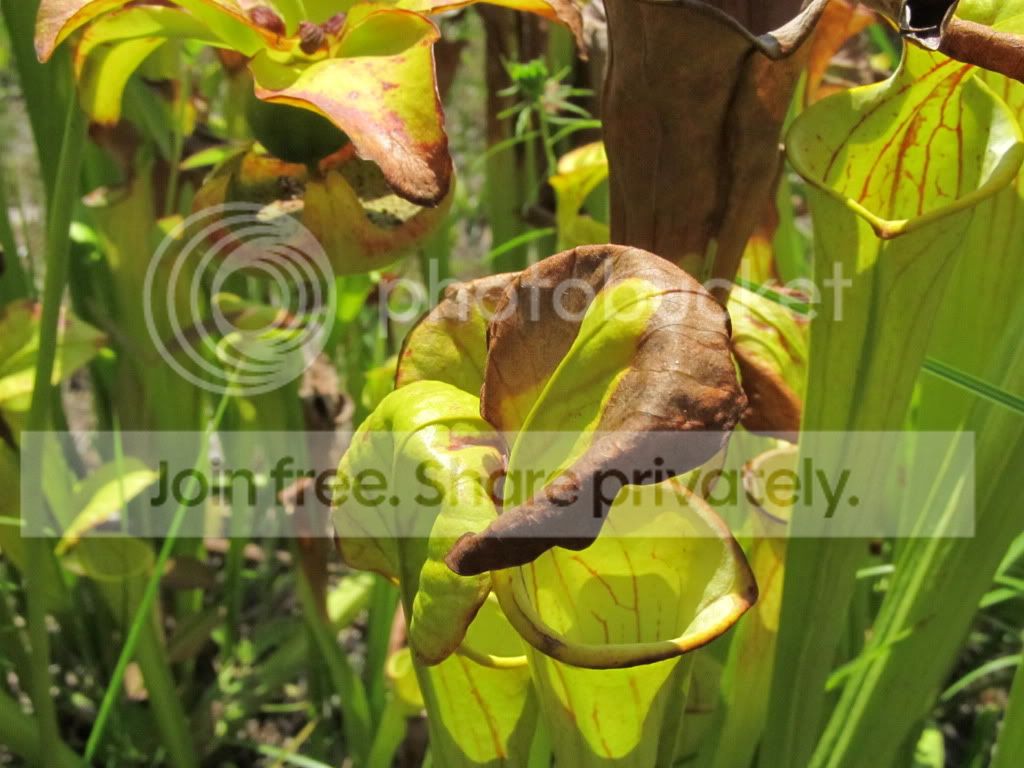 IMG_5964.jpg