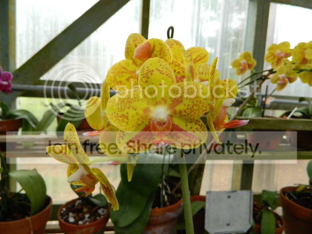 DSCN0114.jpg