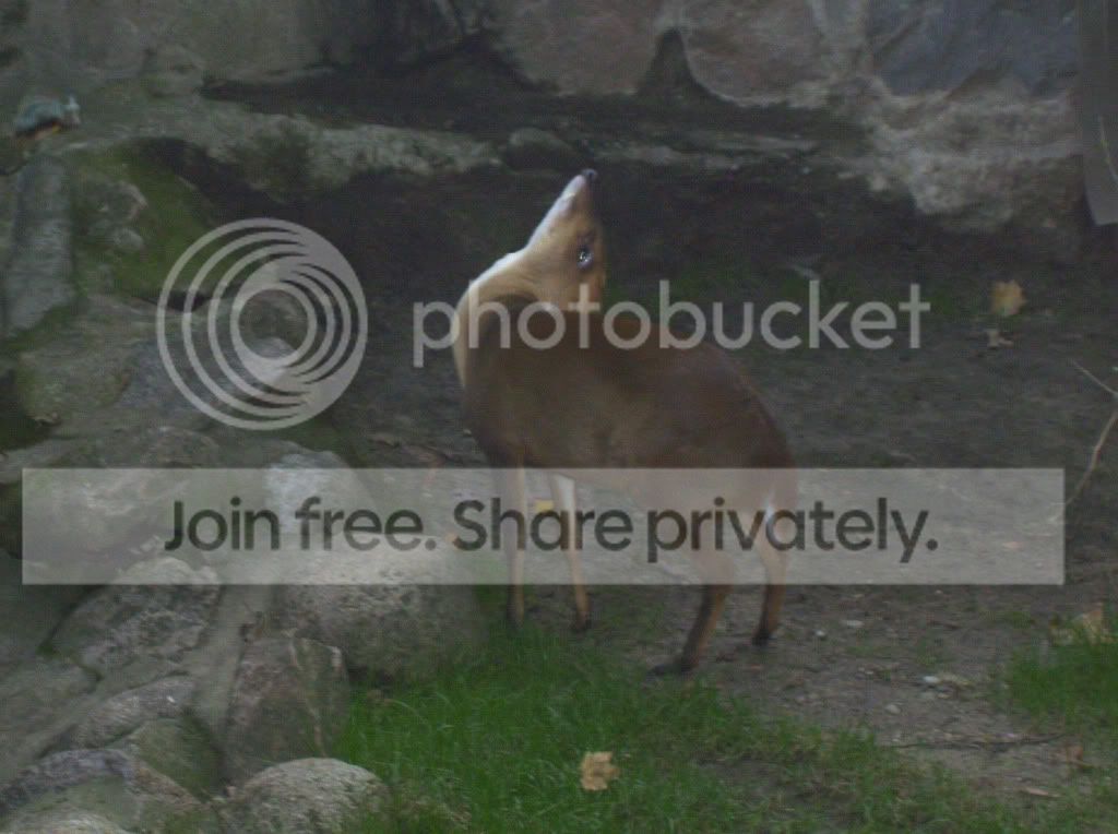 100_5743.jpg
