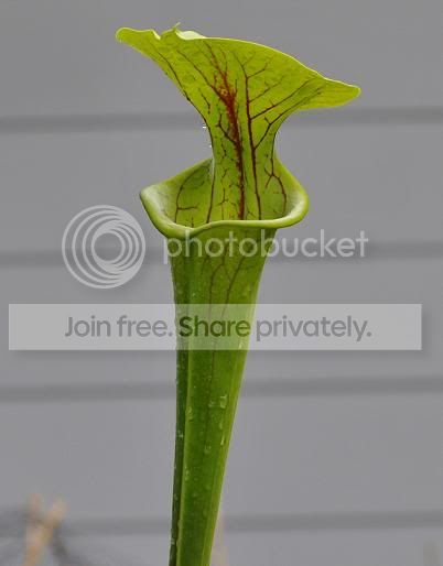 bucket1.jpg