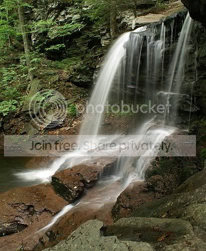 Picture-7229wf.jpg