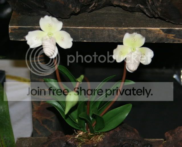 IMG_7886sm.jpg