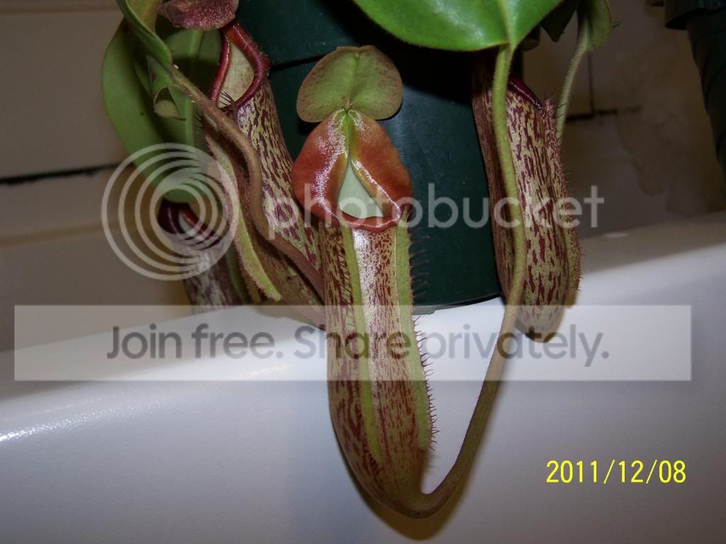 100_5606.jpg