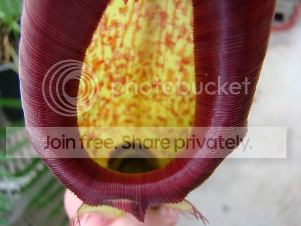 DSC06302.jpg
