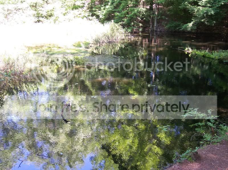 MossLake001.jpg
