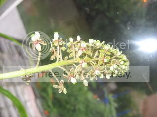 IMG_8979.jpg