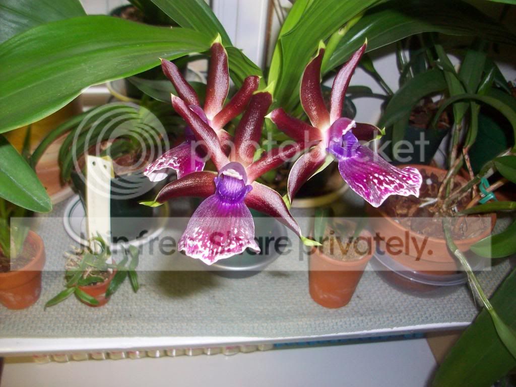 100_2760.jpg