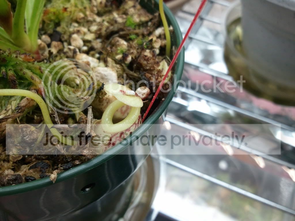 2011-07-18120735.jpg