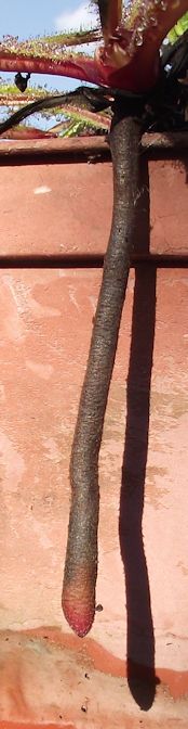 14980752978_a349323e1d_o.jpg