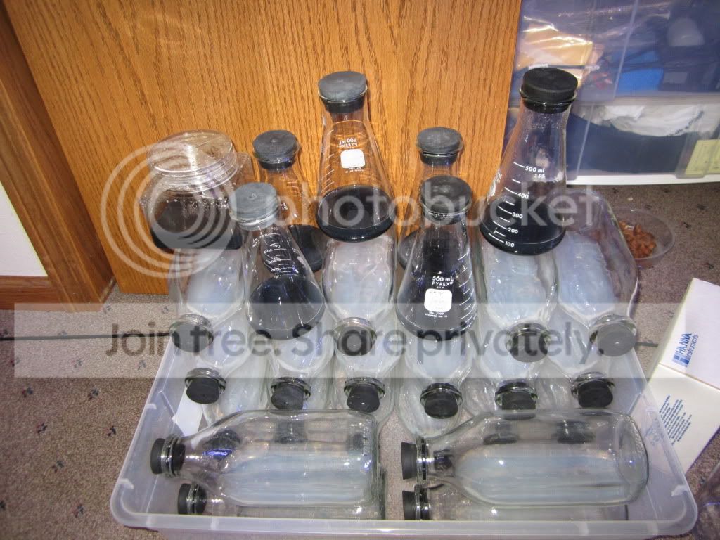 TcBottles.jpg