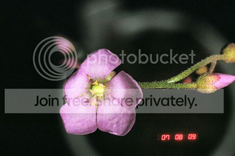 04020018copy.jpg